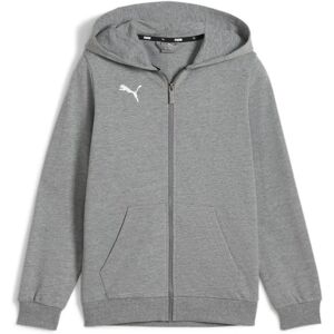 PUMA teamGOAL Casuals Hooded Sweatshirt - Unisex - Grau PUMA teamGOAL Casuals Hooded Sweatshirt - Unisex - Grau