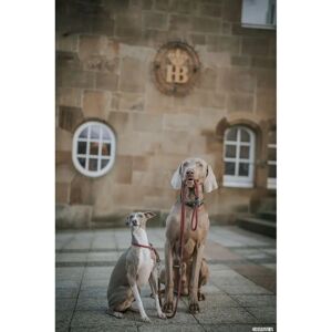 DOG SPORT HUNTER L Állítható kutyanakövető - Kutyanakövető DOG SPORT HUNTER L Állítható kutyanakövető - Kutyanakövető