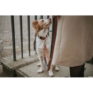 Dog Hunter Regulowany pasek neoprenowy - Smycz dla psa Dog Hunter Regulowany pasek neoprenowy - Smycz dla psa