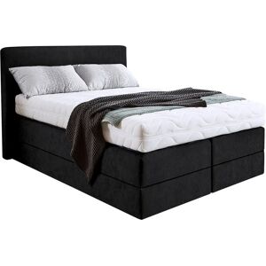 Westfalia Schlafkomfort Microvelours Boxspringbett - Komplettbett - H2 Westfalia Schlafkomfort Microvelours Boxspringbett - Komplettbett - H2