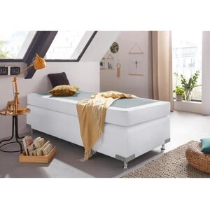 Westfalia Schlafkomfort Holland Microvelours Boxspringbett - Boxspringbett Westfalia Schlafkomfort Holland Microvelours Boxspringbett - Boxspringbett