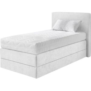 WESTFALIA SCHLAFKOMFORT Boxspringbett - 7-Zonen Kaltschaummatratze - Made in Germany WESTFALIA SCHLAFKOMFORT Boxspringbett - 7-Zonen Kaltschaummatratze - Made in Germany