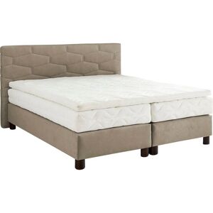 Westfalia Boxspringbett Beige - Microvelours 200x200cm - Made in Germany Westfalia Boxspringbett Beige - Microvelours 200x200cm - Made in Germany