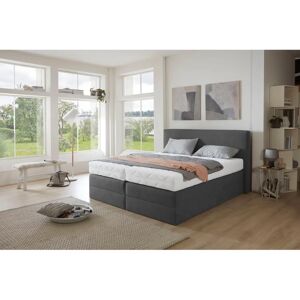 WESTFALIA SCHLAFKOMFORT Boxspringbett - 200x200cm - Microvelours WESTFALIA SCHLAFKOMFORT Boxspringbett - 200x200cm - Microvelours