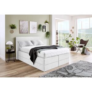 Westfalia Schlafkomfort Microvelours 140x200 H3 - Boxspringbett Westfalia Schlafkomfort Microvelours 140x200 H3 - Boxspringbett