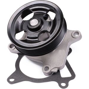 HEPU P7423 Water Pump - Mechanical Operation HEPU P7423 Water Pump - Mechanical Operation