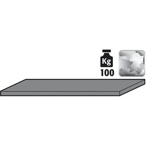 Asecos Regal 1055mm Zink - Fach/Trennwand Asecos Regal 1055mm Zink - Fach/Trennwand