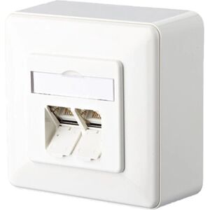 BTR Netcom RJ45 Wanddose - 2 Ports - Ethernet Zertifiziert BTR Netcom RJ45 Wanddose - 2 Ports - Ethernet Zertifiziert