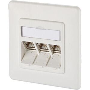 BTR Netcom 1309131002-E Weiß RJ45 Netzstecker - Netzart BTR Netcom 1309131002-E Weiß RJ45 Netzstecker - Netzart