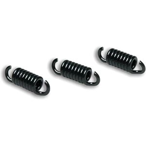 Ressorts d'embrayage noirs Malossi M2912049 - Pour Delta Clutch et Runner 125-180 - Publicité Ressorts d'embrayage noirs Malossi M2912049 - Pour Delta Clutch et Runner 125-180 - Publicité