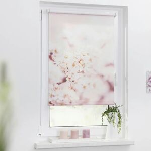 Lichtblick Kirschenblüten Floral Rollo - Fensterdekoration Lichtblick Kirschenblüten Floral Rollo - Fensterdekoration