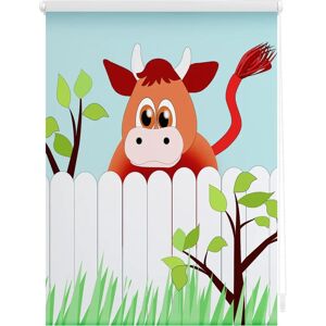 Lichtblick Klemmfix Tier Kinder Rollos - Rollo Lichtblick Klemmfix Tier Kinder Rollos - Rollo