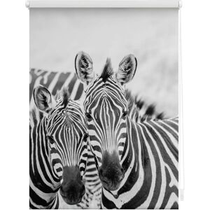 Lichtblick Zebra Rollos - 150x70cm - Schwarz & Weiß - Ohne Bohren Lichtblick Zebra Rollos - 150x70cm - Schwarz & Weiß - Ohne Bohren