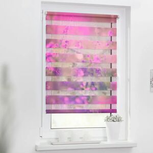 Lichtblick Blumenwiese Duo Rollo - Innenfensterstore Lichtblick Blumenwiese Duo Rollo - Innenfensterstore