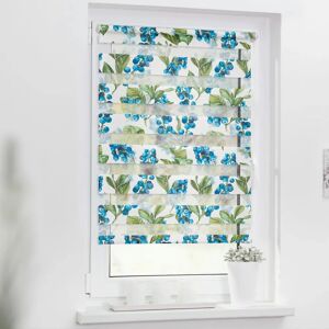 Lichtblick Heidelbeere Duo Rollo - Innenfensterdekoration Lichtblick Heidelbeere Duo Rollo - Innenfensterdekoration
