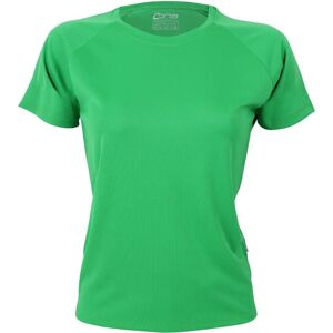 Cona Sports S Grøn Rainbow Tech T-shirt Cona Sports S Grøn Rainbow Tech T-shirt