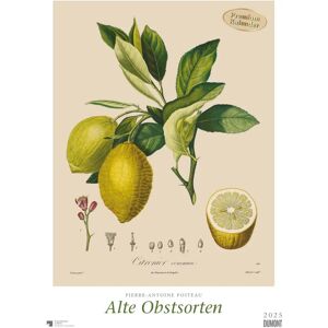 DuMont Alte Obstsorten 2025 - Poster-Kalender 50x70 cm - Kunstdrucke DuMont Alte Obstsorten 2025 - Poster-Kalender 50x70 cm - Kunstdrucke