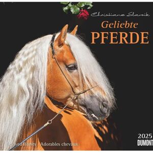 DUMONT-Wandkalender 2025 - Geliebte Pferde - Pferdefotografie 38x35 cm DUMONT-Wandkalender 2025 - Geliebte Pferde - Pferdefotografie 38x35 cm