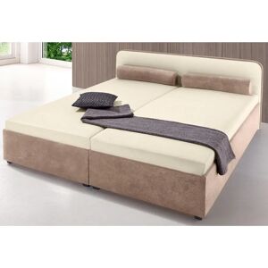 Bett MAINTAL Microvelours 160x200 - Polsterbett Bett MAINTAL Microvelours 160x200 - Polsterbett