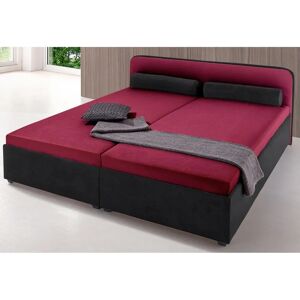 Bettens Gr. MAINTAL Microvelours 160x200cm - Polsterbett Bettens Gr. MAINTAL Microvelours 160x200cm - Polsterbett