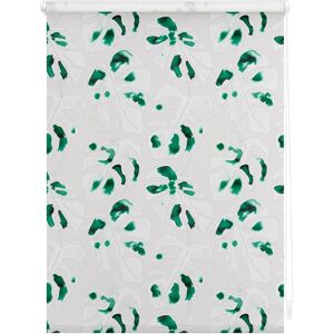 Lichtblick Original Klemmfix Monstera Grün Sichtschutz - Fensterrollo Lichtblick Original Klemmfix Monstera Grün Sichtschutz - Fensterrollo