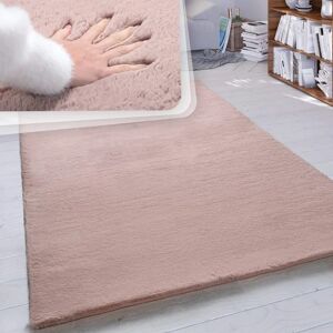 Alfombra Rosa Larga de Pelo para Salón - Paco Home Alfombra Rosa Larga de Pelo para Salón - Paco Home