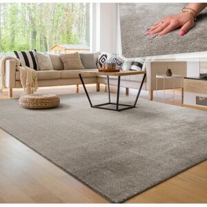 Alfombra gris lavable Paco Home 240x340 cm - Sala Alfombra gris lavable Paco Home 240x340 cm - Sala
