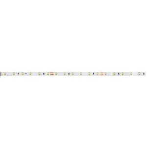 Brumberg 38201004 Bande LED - 5m, blanc, IP00 - Bande LED Brumberg 38201004 Bande LED - 5m, blanc, IP00 - Bande LED