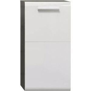 Trendteam Riva Wandhängeschrank - Weiß Hochglanz, Rauchsilber, 35x68x33cm Trendteam Riva Wandhängeschrank - Weiß Hochglanz, Rauchsilber, 35x68x33cm