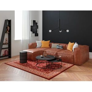 THEKO Wollteppich Dolna - 808, 160x230cm, Rot, Maschinell Gewebt - Wolle THEKO Wollteppich Dolna - 808, 160x230cm, Rot, Maschinell Gewebt - Wolle