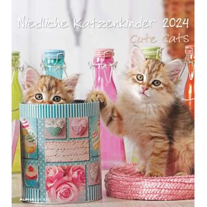 Alpha Cute Cats 2024 - Wall Calendar - Animal Calendar - 30x34 Alpha Cute Cats 2024 - Wall Calendar - Animal Calendar - 30x34