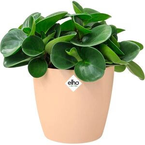 Gardebruk Pot de fleurs Bruxelles - Peach - 18x17cm - 3.3L - Flower Pots Gardebruk Pot de fleurs Bruxelles - Peach - 18x17cm - 3.3L - Flower Pots