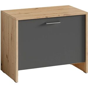 byLIVING Ben Sitzbank - 1 Tür, 60cm breit, Grau byLIVING Ben Sitzbank - 1 Tür, 60cm breit, Grau