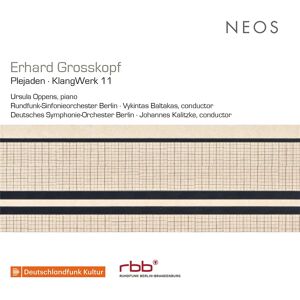 Erhard Grosskopf PlejadenKlangWerk 11 - Audio CD Erhard Grosskopf PlejadenKlangWerk 11 - Audio CD