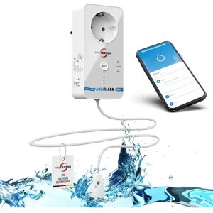 Détecteur d'eau Protector 15021 - Transmission d'alarme WiFi Détecteur d'eau Protector 15021 - Transmission d'alarme WiFi