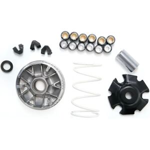 Malossi M5111258 Variator - Gilera Piaggio Italjet 125 Malossi M5111258 Variator - Gilera Piaggio Italjet 125