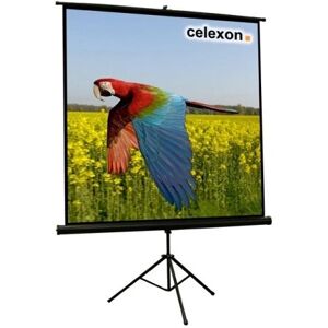 Écran de projection Celexon Tripod 244x244cm - Écran de projection - Publicité Écran de projection Celexon Tripod 244x244cm - Écran de projection - Publicité