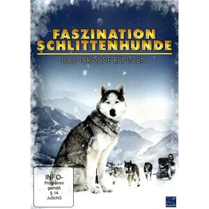 KSM - Nicolas Lauwers - GEBRAUCHT Faszination Schlittenhunde - Das Grosse Rennen - DVD - 57 Min - Alle KSM - Nicolas Lauwers - GEBRAUCHT Faszination Schlittenhunde - Das Grosse Rennen - DVD - 57 Min - Alle