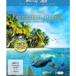 KSM GmbH K3238 - Documentaire océan Atlantique Blu-ray - Full HD - 3D - Publicité KSM GmbH K3238 - Documentaire océan Atlantique Blu-ray - Full HD - 3D - Publicité