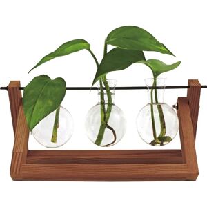 Winkee Hydro Vases Blossom - Vaas Winkee Hydro Vases Blossom - Vaas
