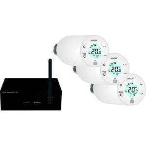 Blossom-ic Avalon+ Heizkörperthermostat Set - 3 Stück Blossom-ic Avalon+ Heizkörperthermostat Set - 3 Stück