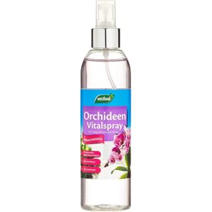Spray vital pour orchidées Westland - Soin des feuilles et fleurs 250ml - Publicité Spray vital pour orchidées Westland - Soin des feuilles et fleurs 250ml - Publicité