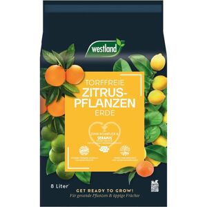 Terreau pour plantes de citrus WESTLAND - Agrumes - 8 litres - Publicité Terreau pour plantes de citrus WESTLAND - Agrumes - 8 litres - Publicité