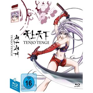 Nipponart - Tenjo Tenge Box Set - Region 2 - 5 Discs - 600 Minutes Nipponart - Tenjo Tenge Box Set - Region 2 - 5 Discs - 600 Minutes