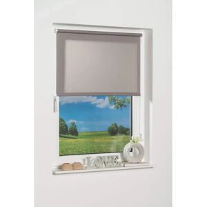 K-Home Minirollo - Lichtfilter - Rollo K-Home Minirollo - Lichtfilter - Rollo