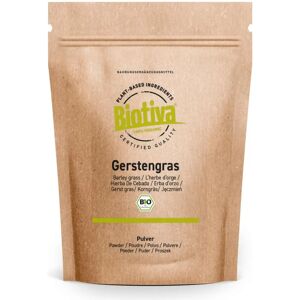 Good Organics GmbH Gerstengras Pulver - Pó de erva de cevada biológico - 500g Good Organics GmbH Gerstengras Pulver - Pó de erva de cevada biológico - 500g