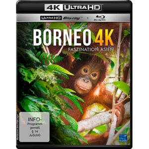 KSM GmbH K5244 4K Ultra HD Blu-ray - Dokumentation über Borneo KSM GmbH K5244 4K Ultra HD Blu-ray - Dokumentation über Borneo