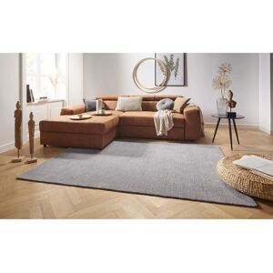 Hanse Home Supersoft Hellgrauer Teppich - Teppich Hanse Home Supersoft Hellgrauer Teppich - Teppich