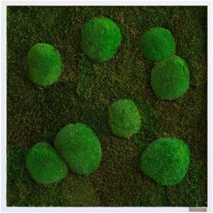Allgemeines Moos Wandkunst - Grün - Wanddekoration Allgemeines Moos Wandkunst - Grün - Wanddekoration