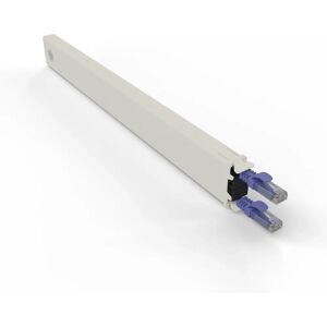 PATCHBOX Conex8utpvi Violet 0.8m Câble réseau - U/UTP, Cat6a - Publicité PATCHBOX Conex8utpvi Violet 0.8m Câble réseau - U/UTP, Cat6a - Publicité